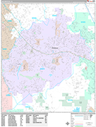 San Marcos Wall Map Premium Style